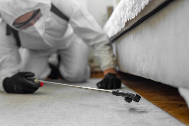 Professional Bed Bug Control technician working in Pocatello, ID
