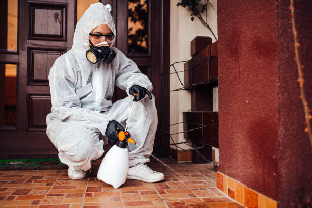 Reliable Bed Bug Control contractor in Pocatello, ID by Nex Pest Control